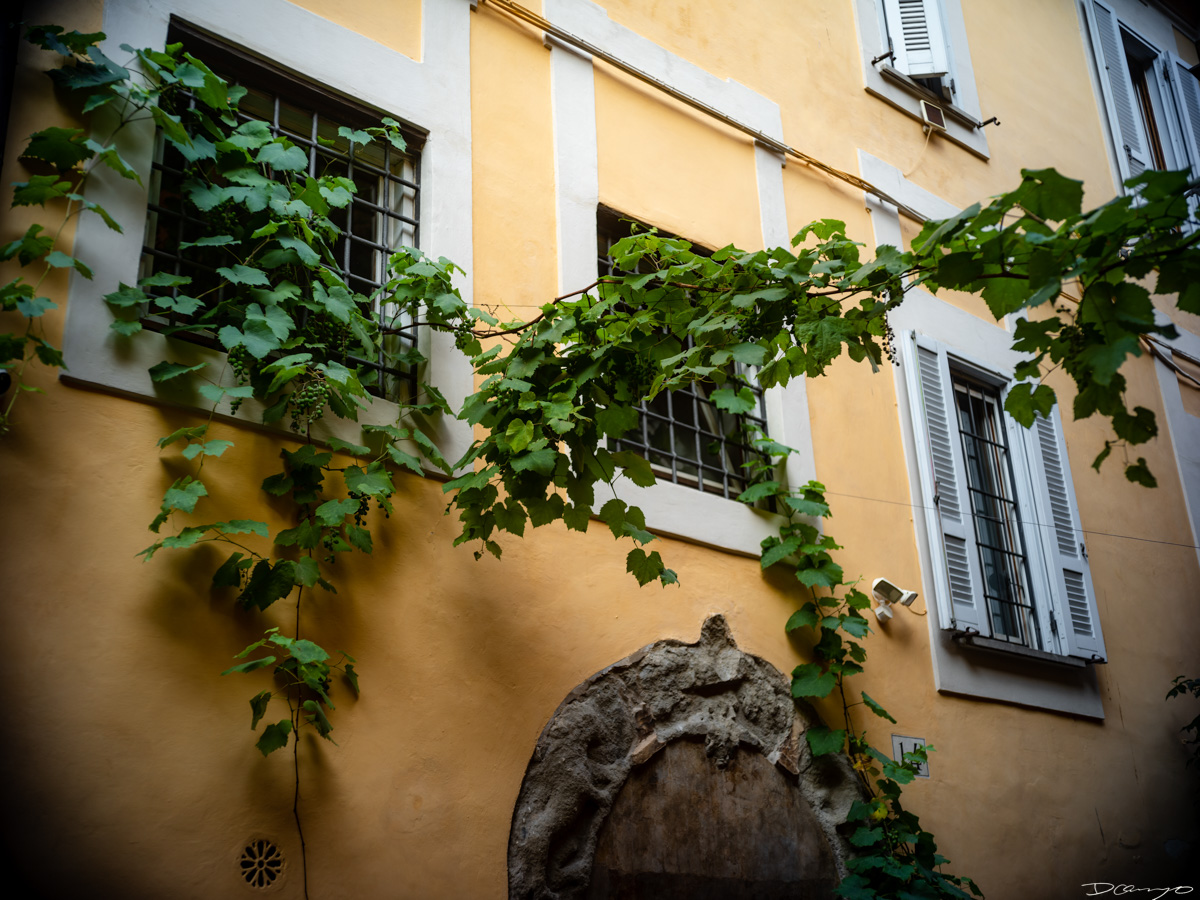 Photos from a trip through Italy in Summer of 2023. Locations include Rome, Florence, Tuscany, Castello di Bossi in Chianti, Siena, San Gimignano, Sirmione on Lake Garda, Bologna, Gudon, Italian Dolomites, Seceda, Cadini di Misurina, and Venice.